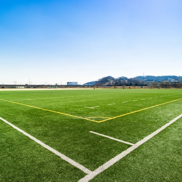 Gazon naturel et gazon synthétique